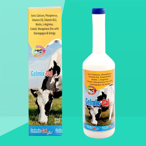 GELMIX CAL GEL 300gm