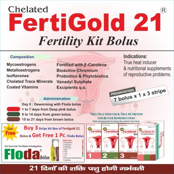 FERTIGOLD -21 BOLUS 1X7X3 - Image 2