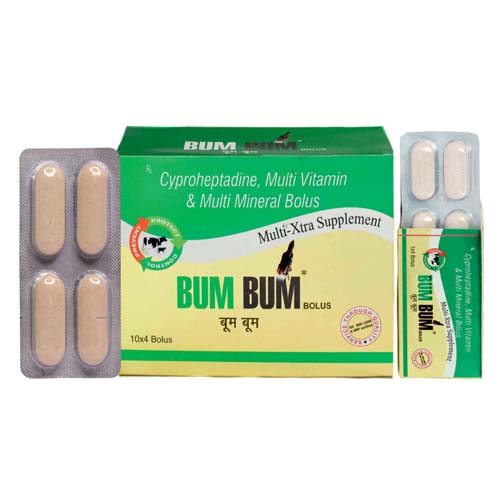 BUM BUM BOLUS 1x4
